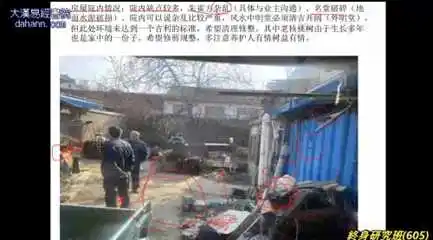 终身研究班第十年共52堂课下载