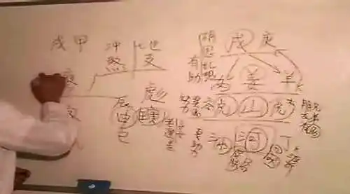 生肖姓名学应用内容说明