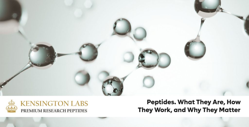 Peptides-What-They-Are-How-They-Work-and-Why-They-Matter-1640x840-1-1024x524.jpg.jpg
